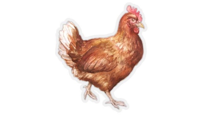 Free Will: The Definition